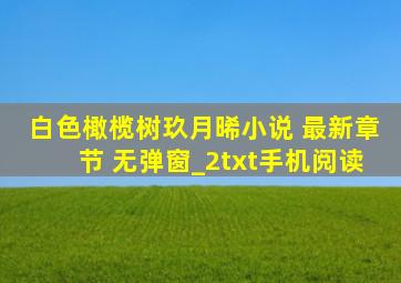 白色橄榄树玖月晞小说 最新章节 无弹窗_2txt手机阅读